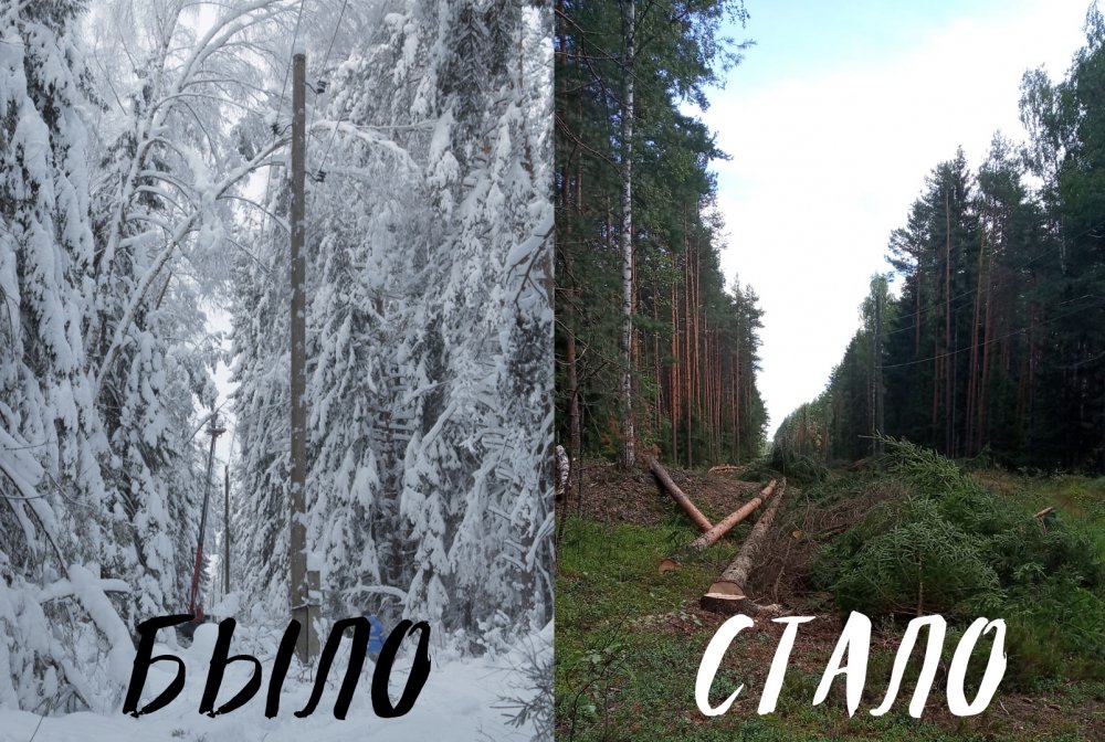 ЛЭП в Кашино увидела небо